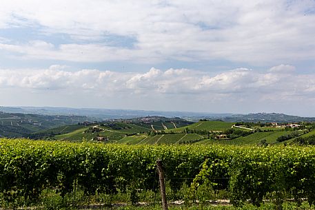 Langa of Barolo Landscape